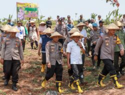 Wujudkan Swasembada Pangan, Polres Jombang Tanam Jagung di Lahan Kosong